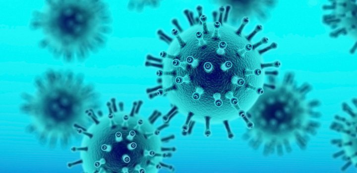 Covid 19 virus