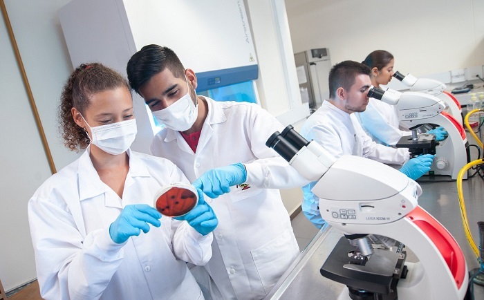 Tipo Interna 3 Escuela de Ingeniería