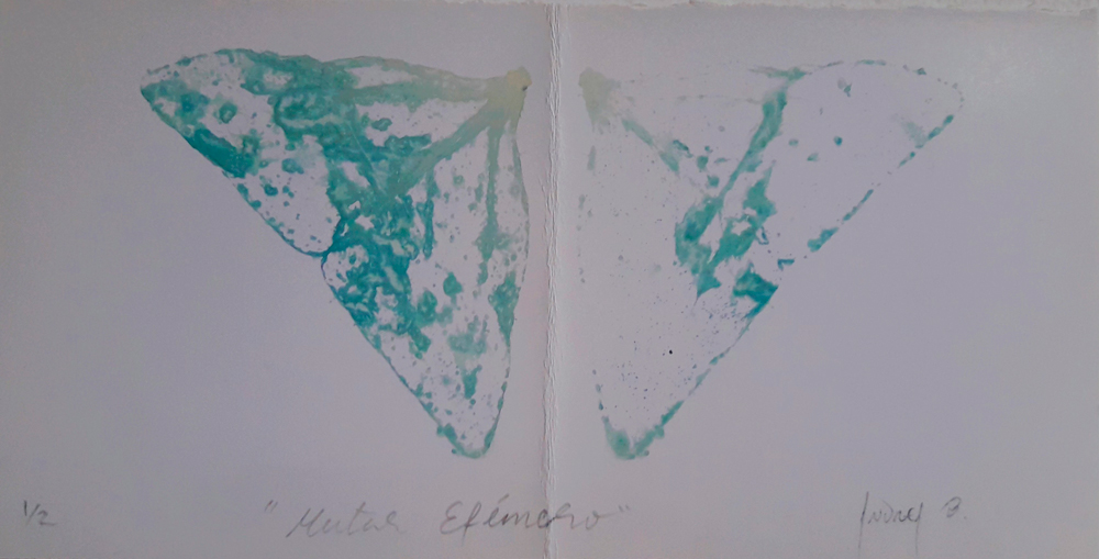 grabado mariposa