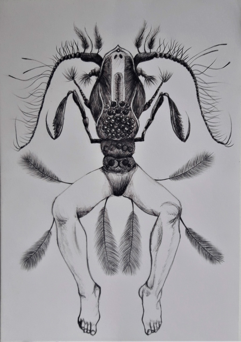Dibujo