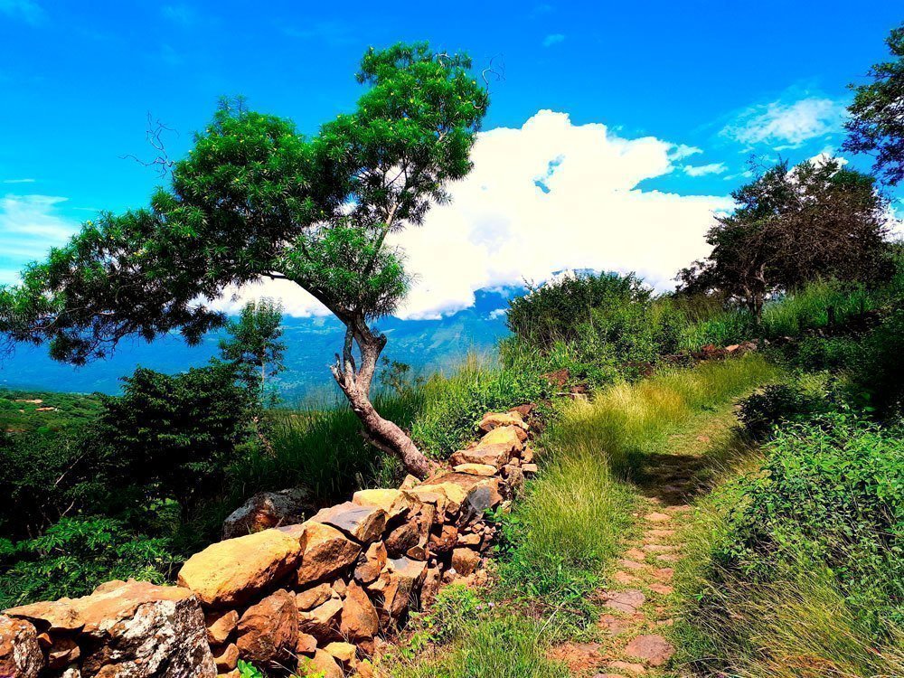 Camino a Guané