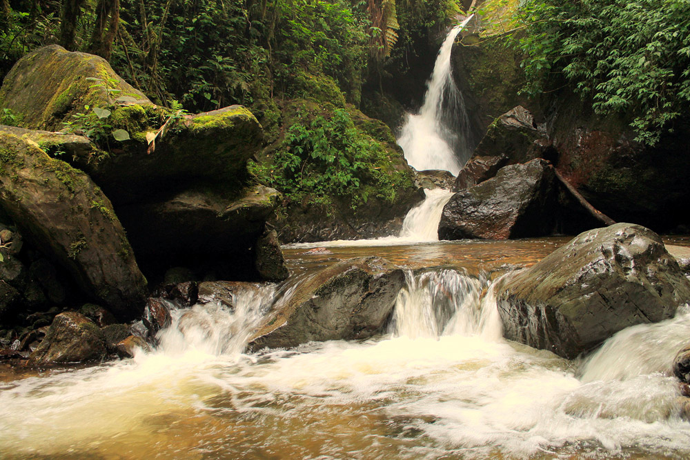 Cascada