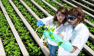 Tipo D transformación curricular Ambiental UPBBGA