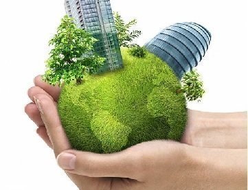 CianiNegociosVerdes_TipoD