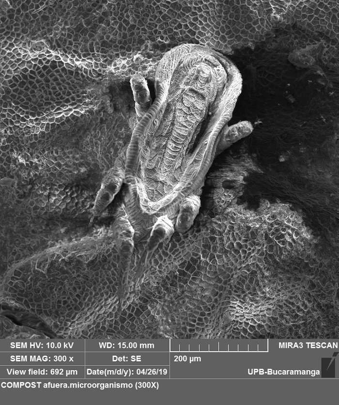 ConvenioHIC_Interna8