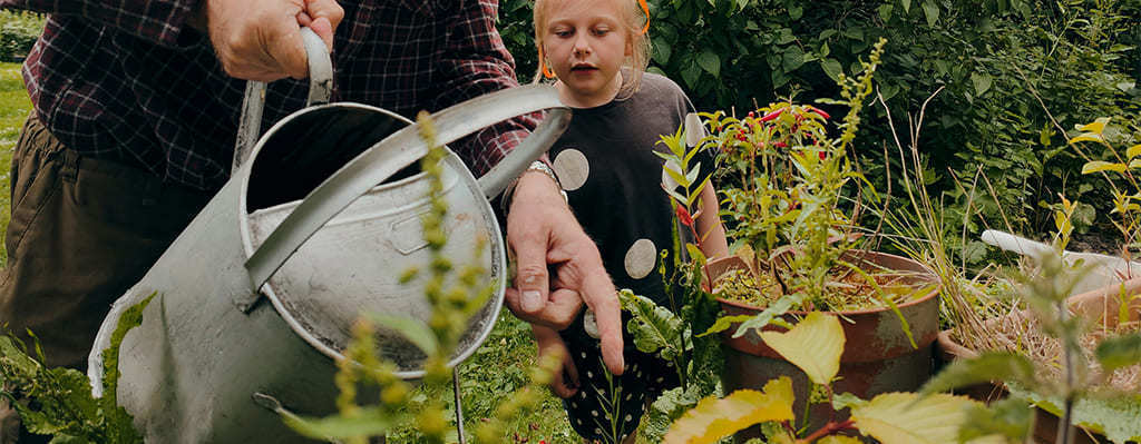 Cultiva tu Hogar: Jardinería para el Bienestar