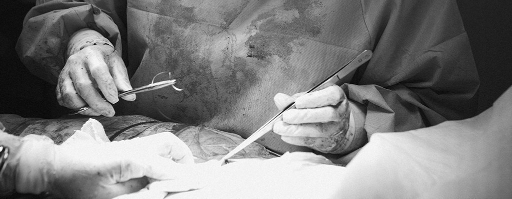 Curso de Anatomía humana, disección y tipos de suturas en cadáveres