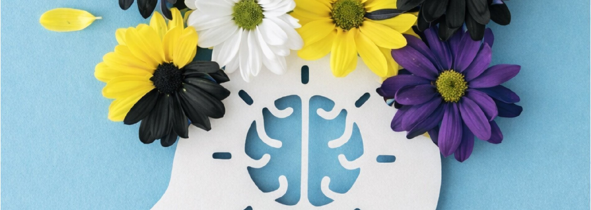 Curso Violencia Sexual y Salud Mental