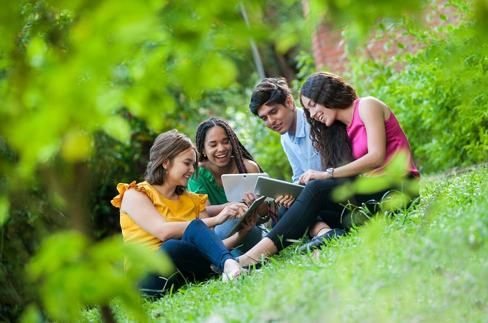 Tipo interna 1 sistemas