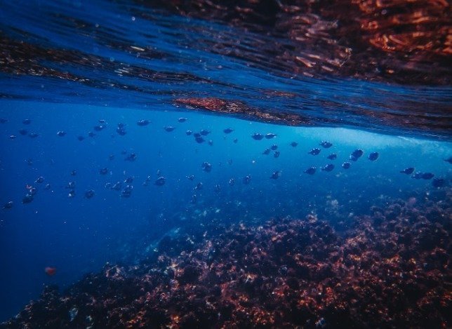 Mar