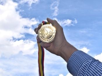 Medalla Saber Pro