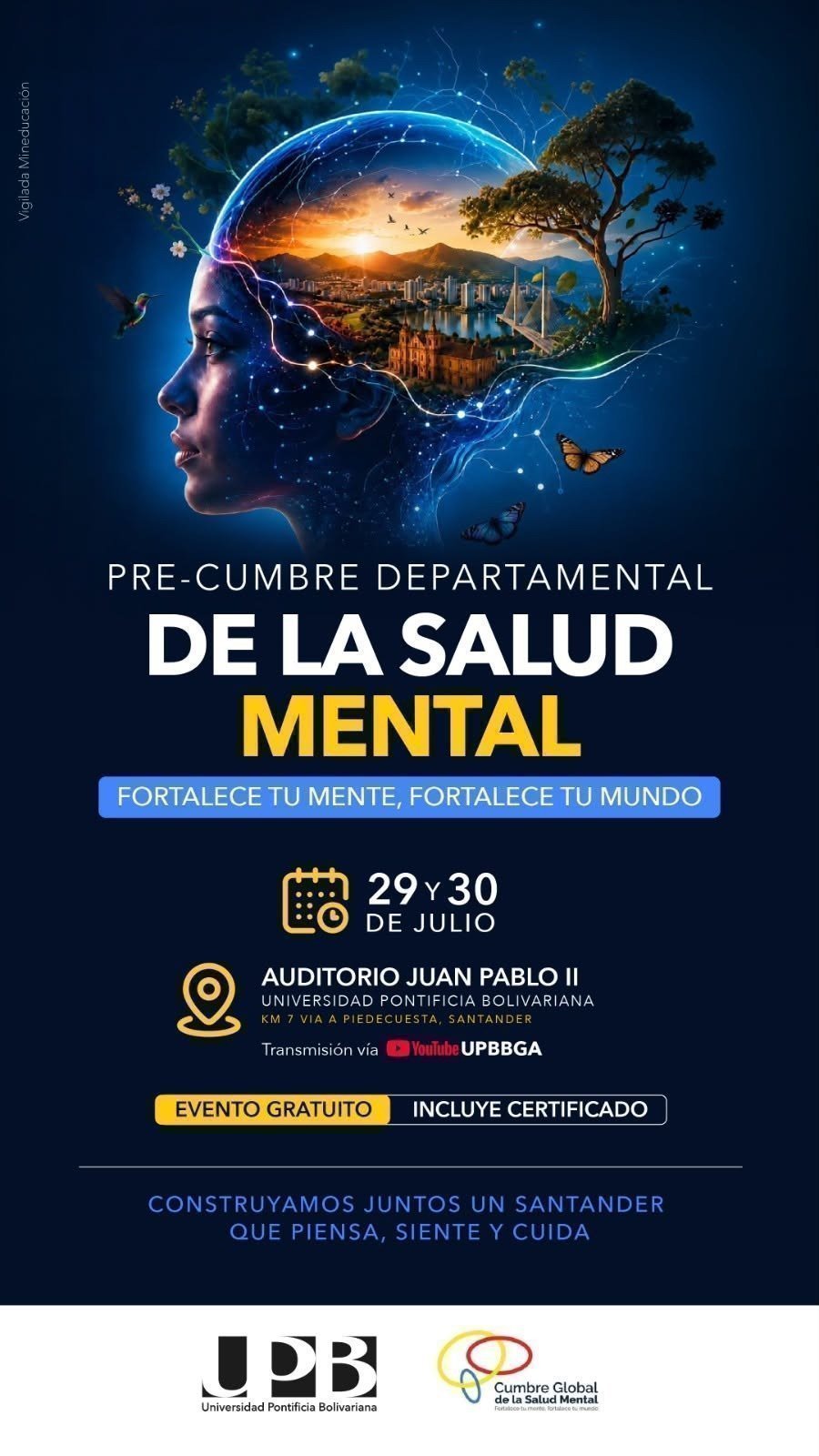 PRE CUMBRE DE SALUD MENTAL