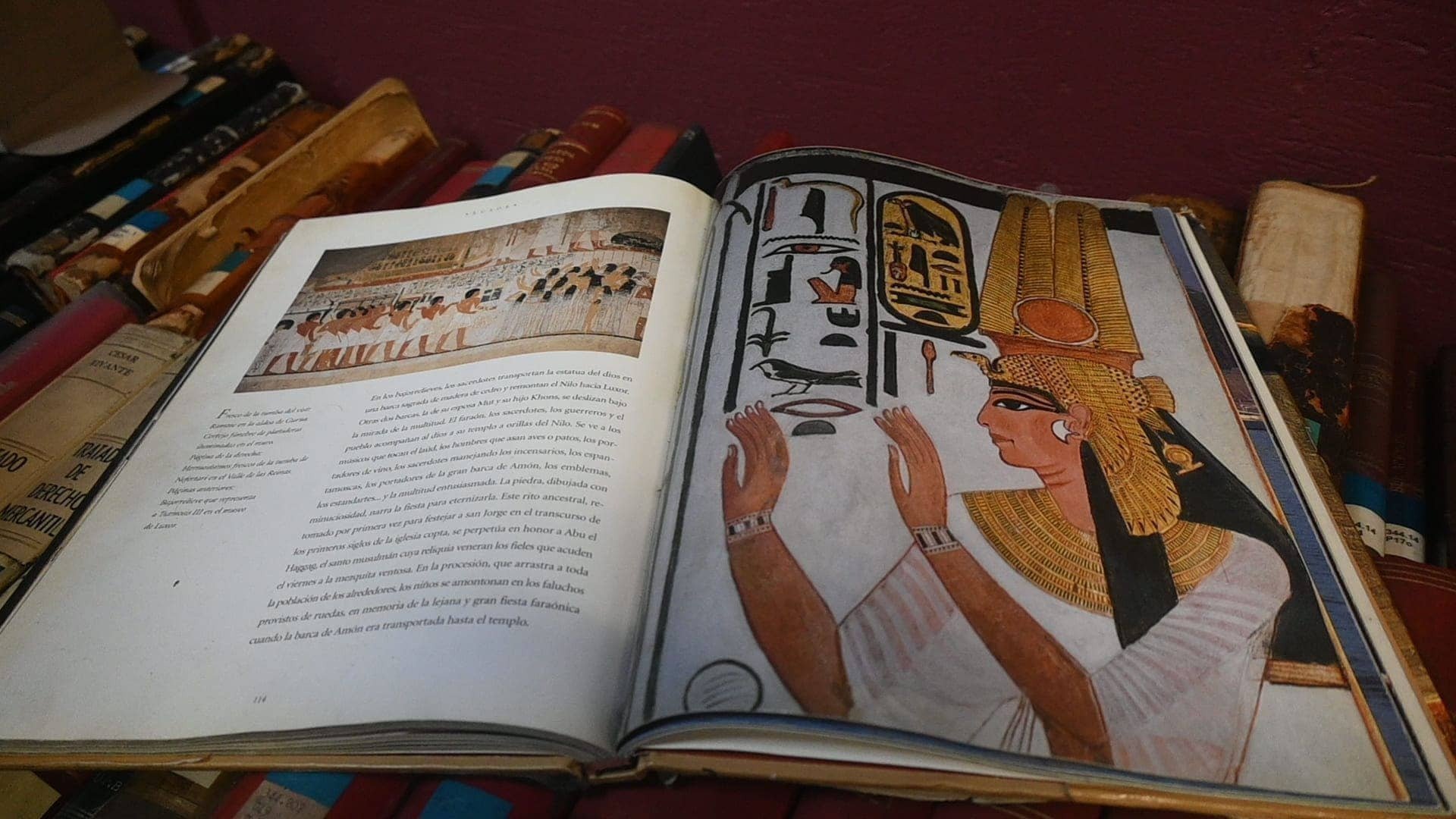  Introducción a la egiptología