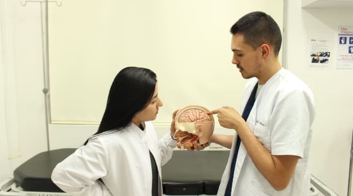 Explicación partes del celebro 