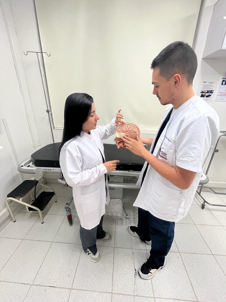 Educación Neuroaprendizaje 