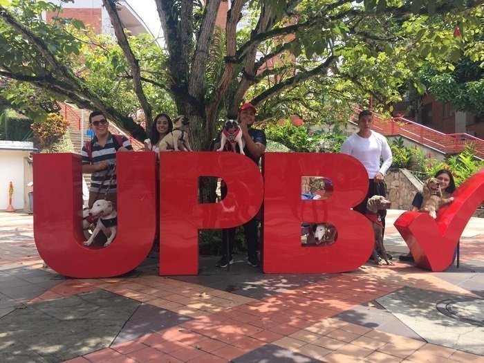 PolíticaAnimal_Interna4