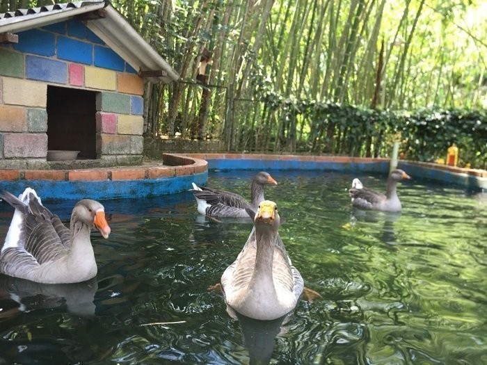 PolíticaAnimal_Interna5