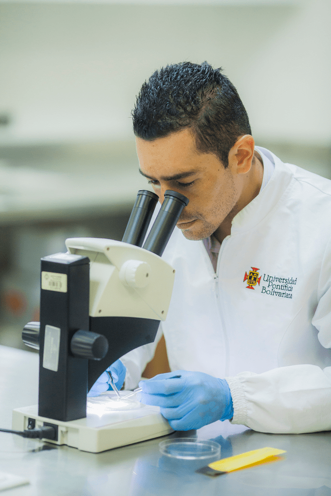 investigacion