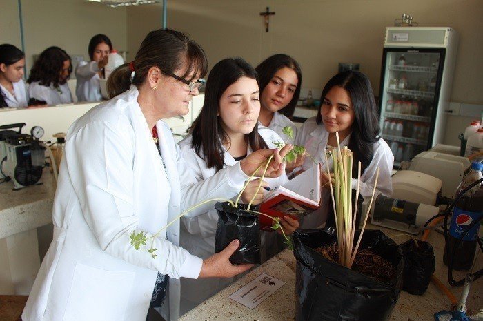 ResultadosRedColsi_Interna3