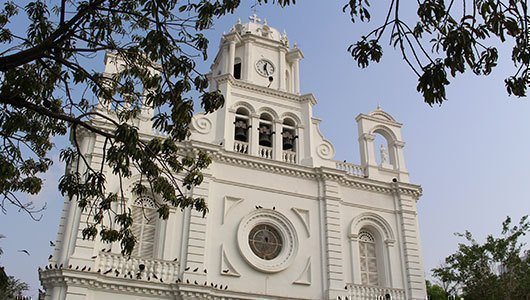 Monteria