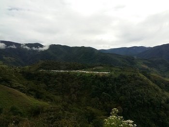 Zona Veredal Transitoria de Normalización