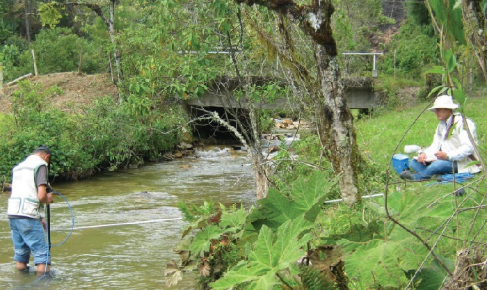 Foto tipo in1 ambiental