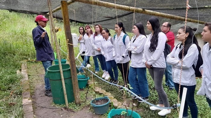 Foto Tipo In2 visita semillero