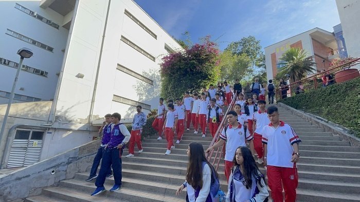 Foto Tipo In7 Vive EAN