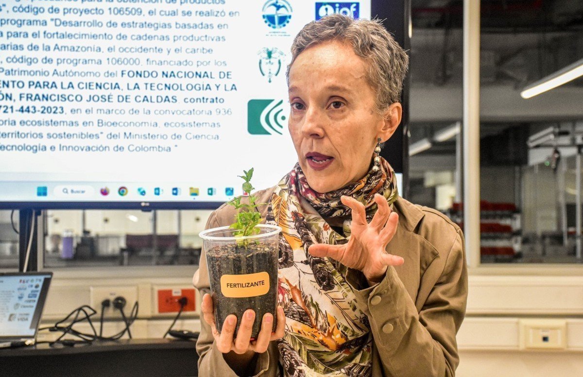 Piedad Gañán Rojo, líder del proyecto, es integrante del G.I. sobre Nuevos Materiales.