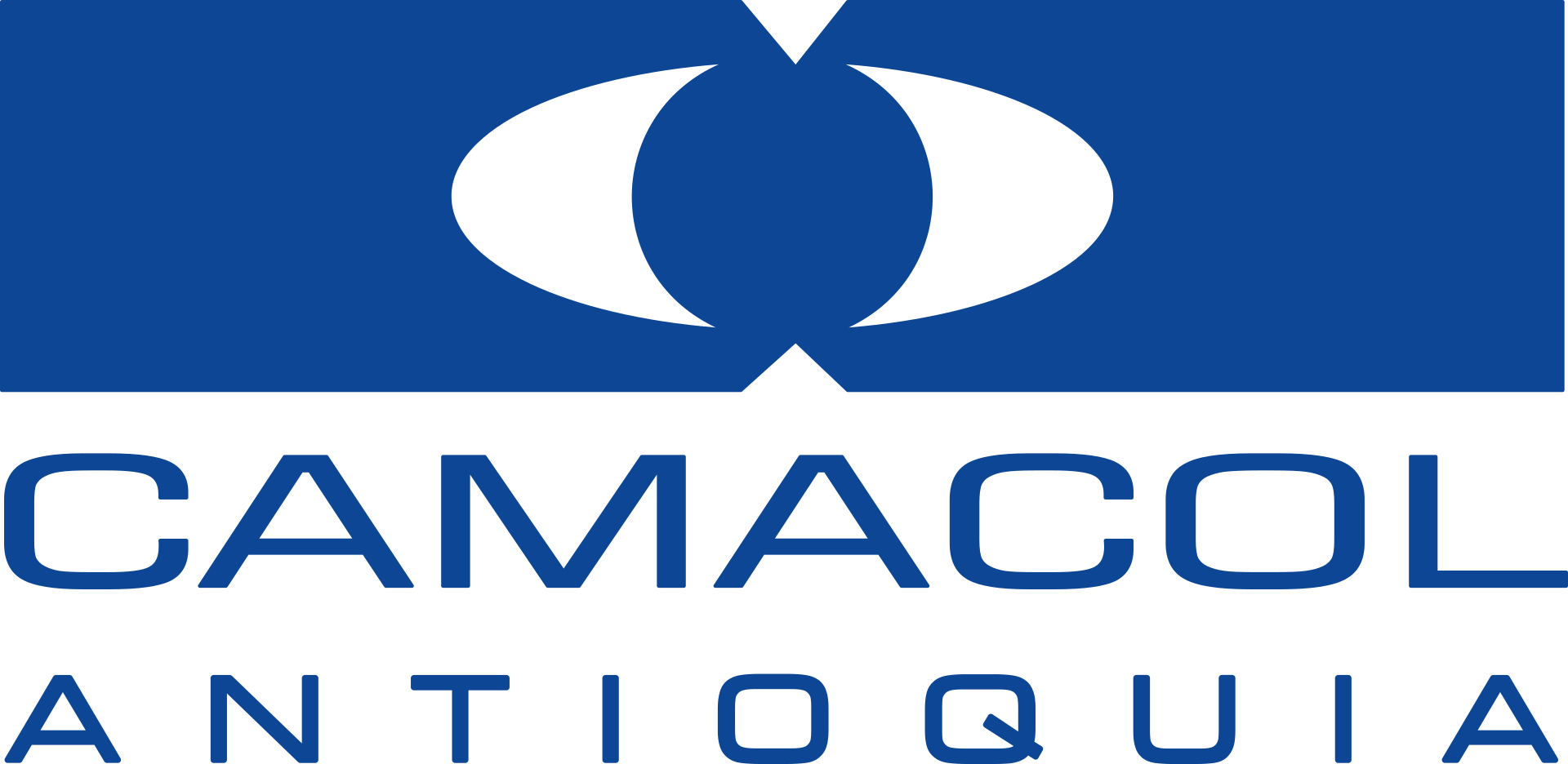 Logo The Academy